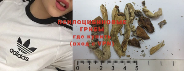 трава Осташков