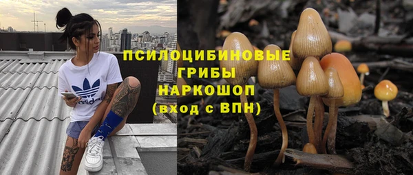а пвп мука Алзамай
