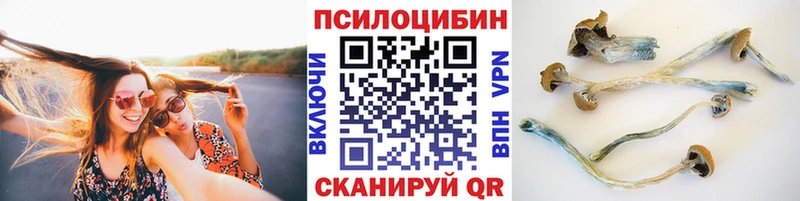 Псилоцибиновые грибы ЛСД  закладки  Удачный 